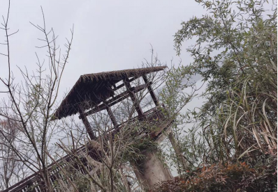 1539397503117098.png 圖片8.png