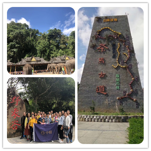 1543631281609674.jpg 拼圖含集體照.jpg